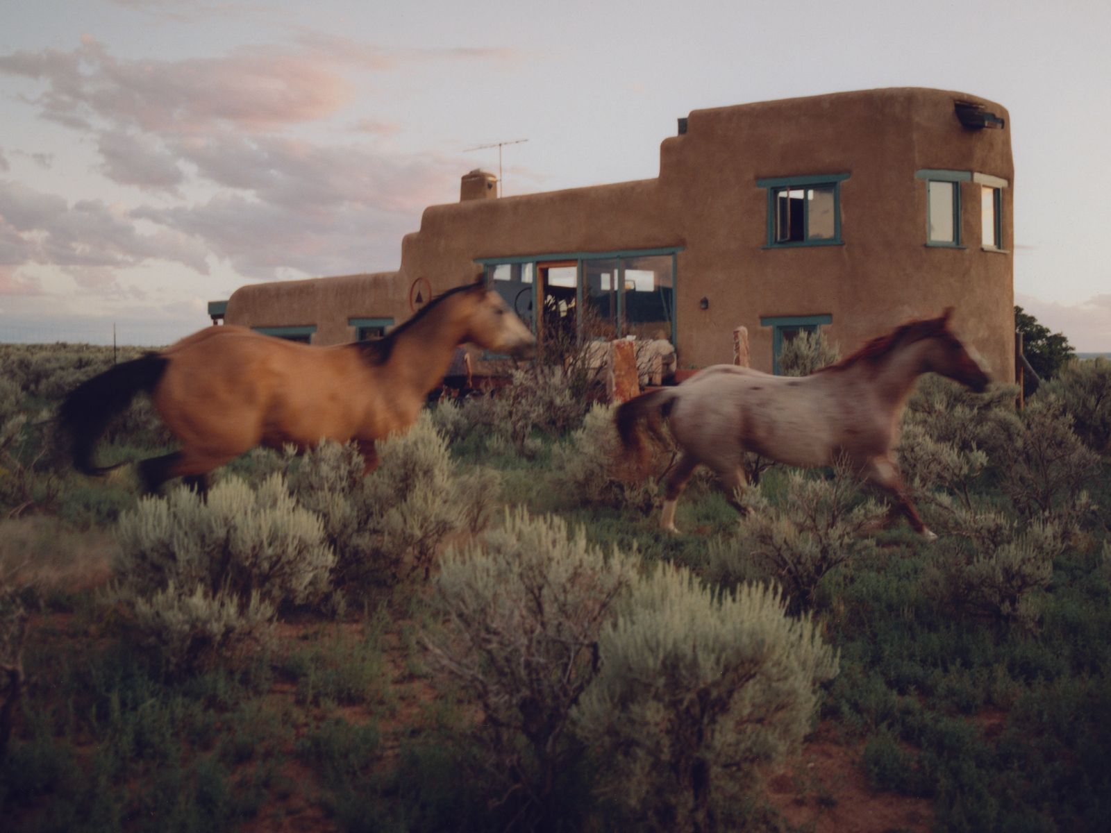 Arrow House appears to merge with the mesa in New Mexico