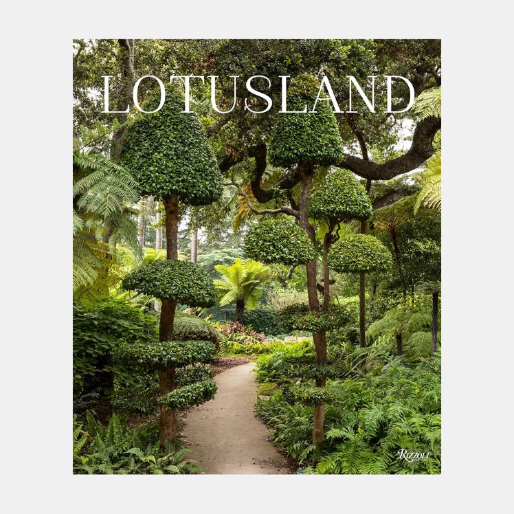 Image may contain Garden Nature Outdoors Plant Vegetation Tree Jungle Land Rainforest Grass Park and Woodland