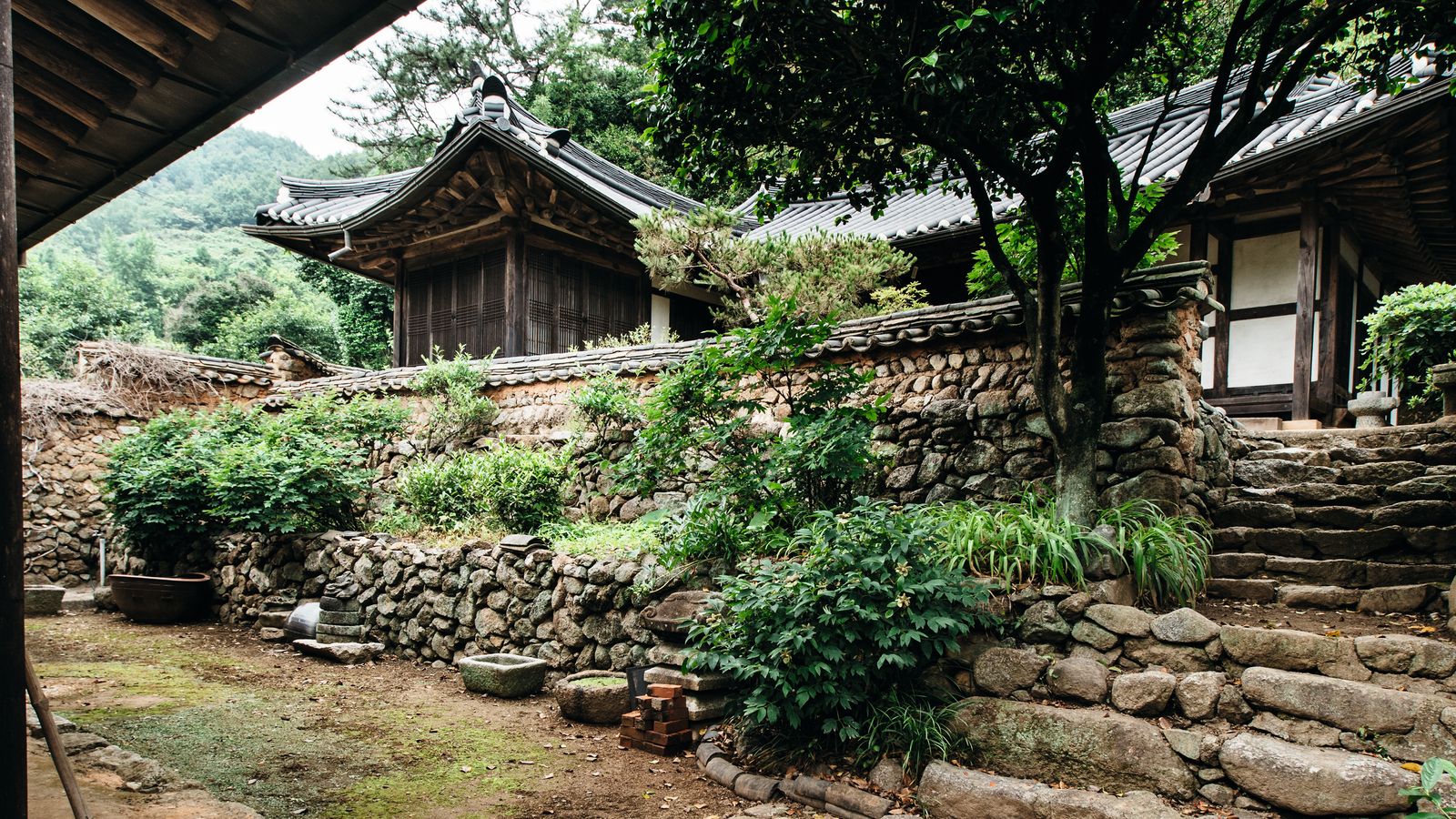 In a South Korean valley, tea, clay and architecture keep a culture alive
