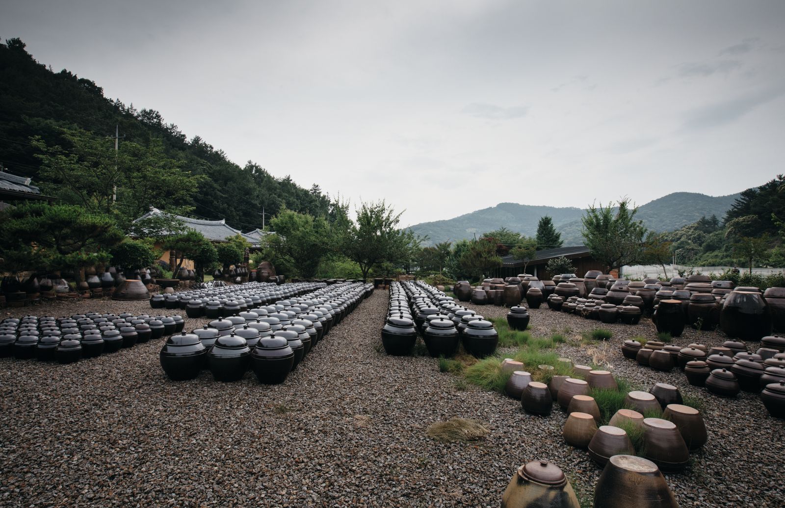 Image may contain Outdoors Plant Tree Furniture Nature Graveyard and Pottery