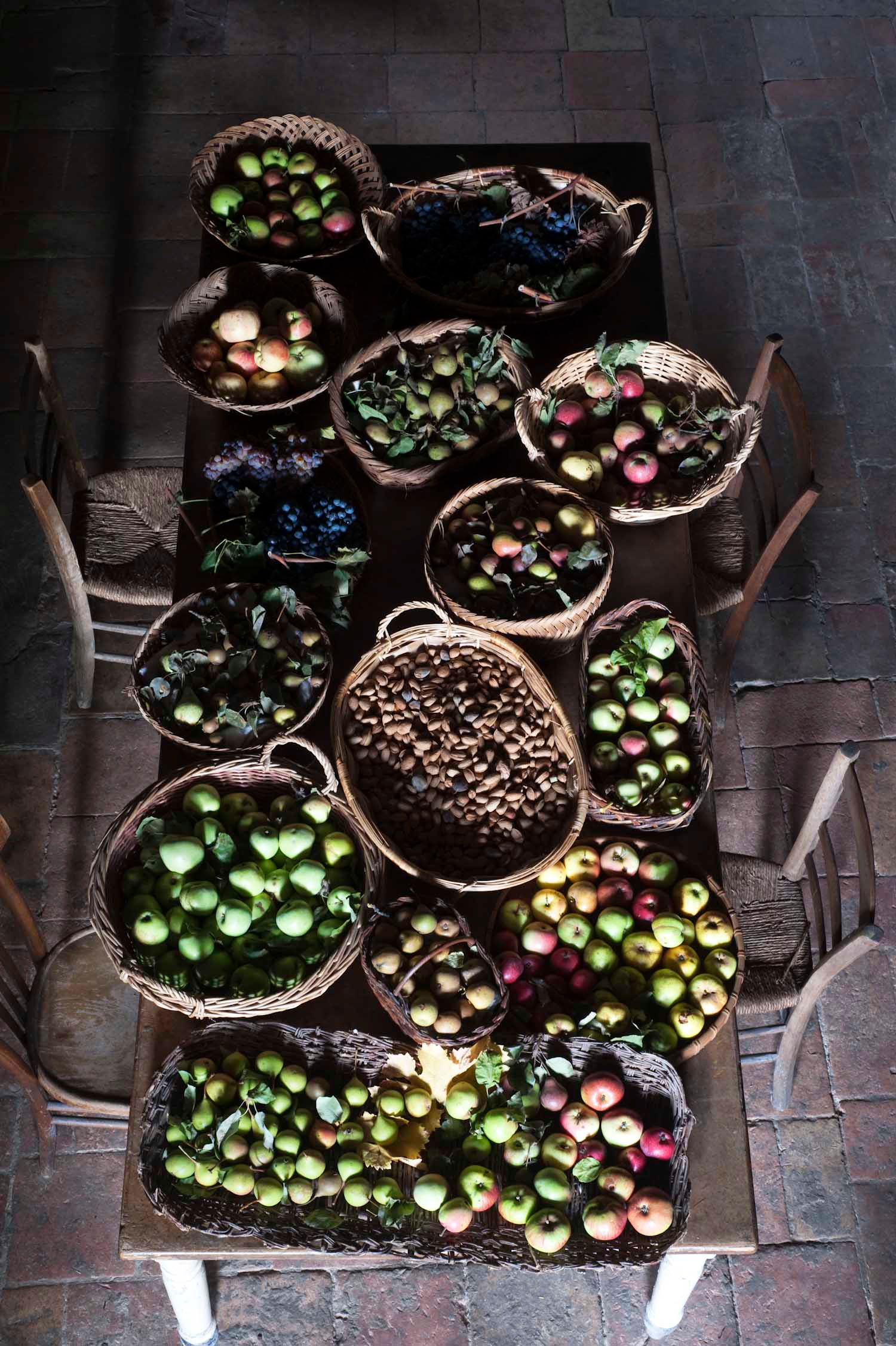 Image may contain Chair Furniture Food Produce Berry Fruit and Plant