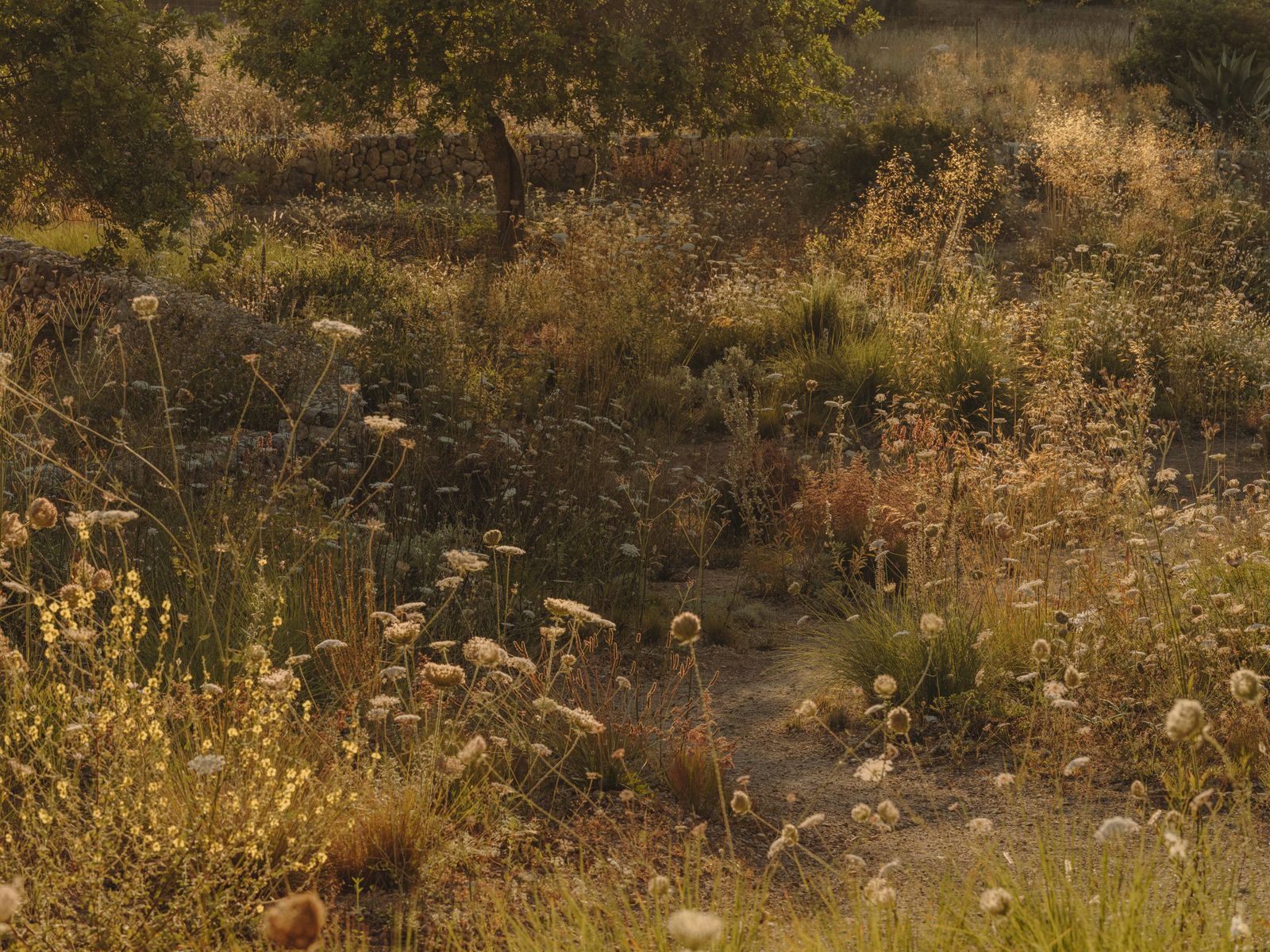 Luciano Giubbilei’s artful garden melts into the Mallorca wilderness