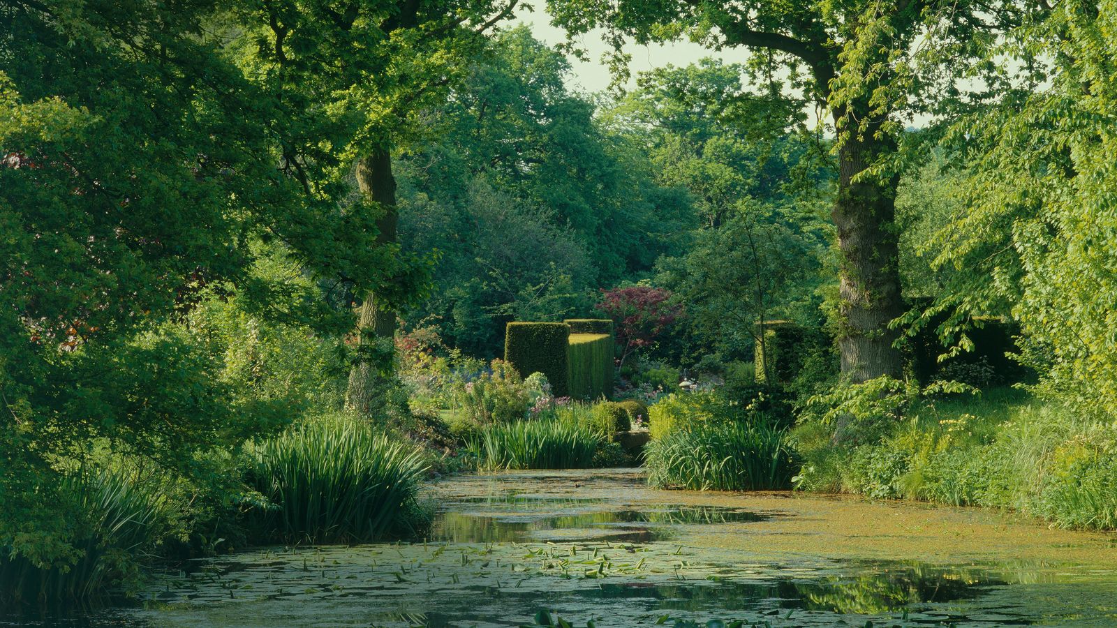 The Caroes have their work cut out in the Gertrude Jekyll garden at Vann