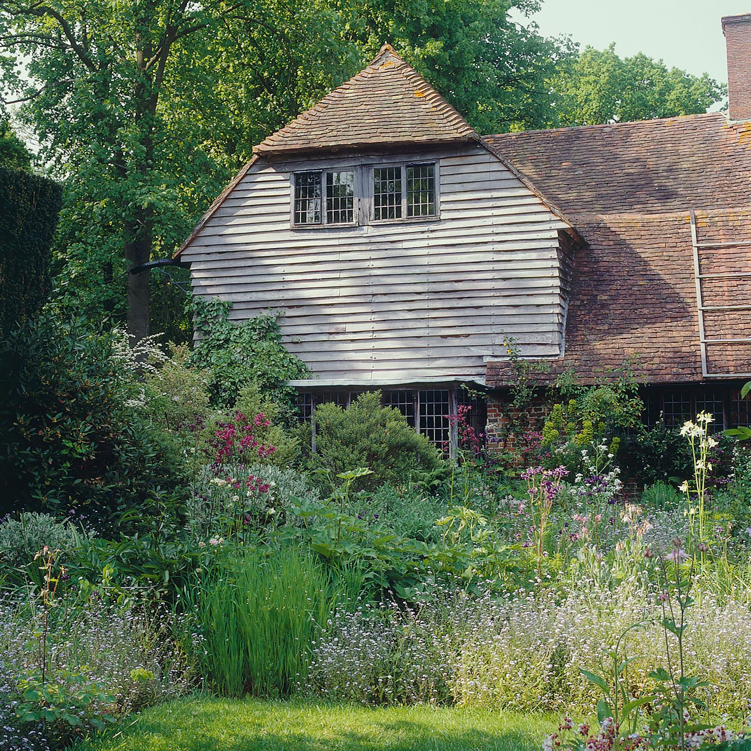 Vann garden Surrey