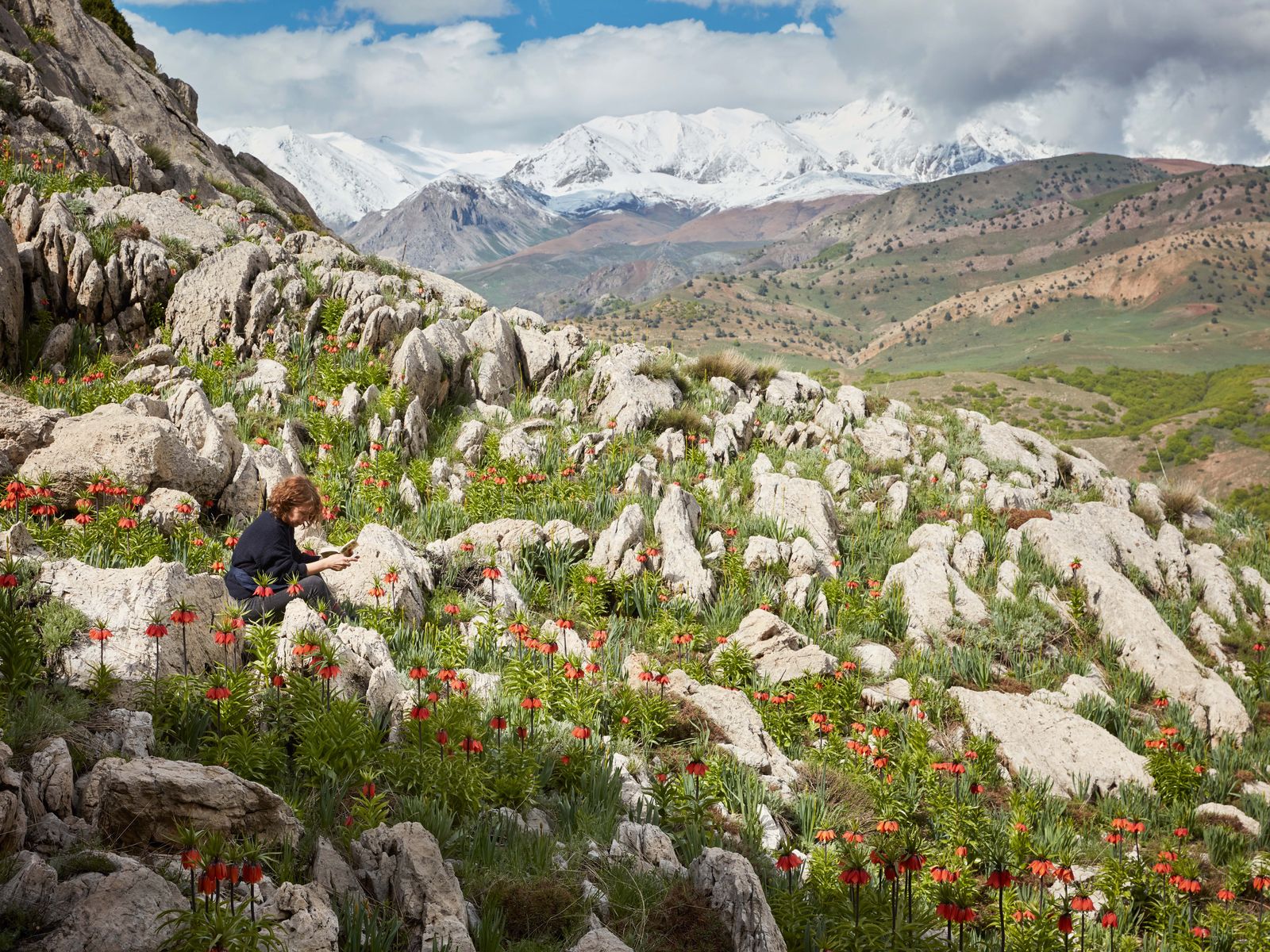 Işik Güner is on a mission to portray Turkey’s entire flora in one magnum opus